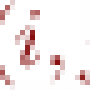 img47d14bd279eb18566408c8024250642c.png